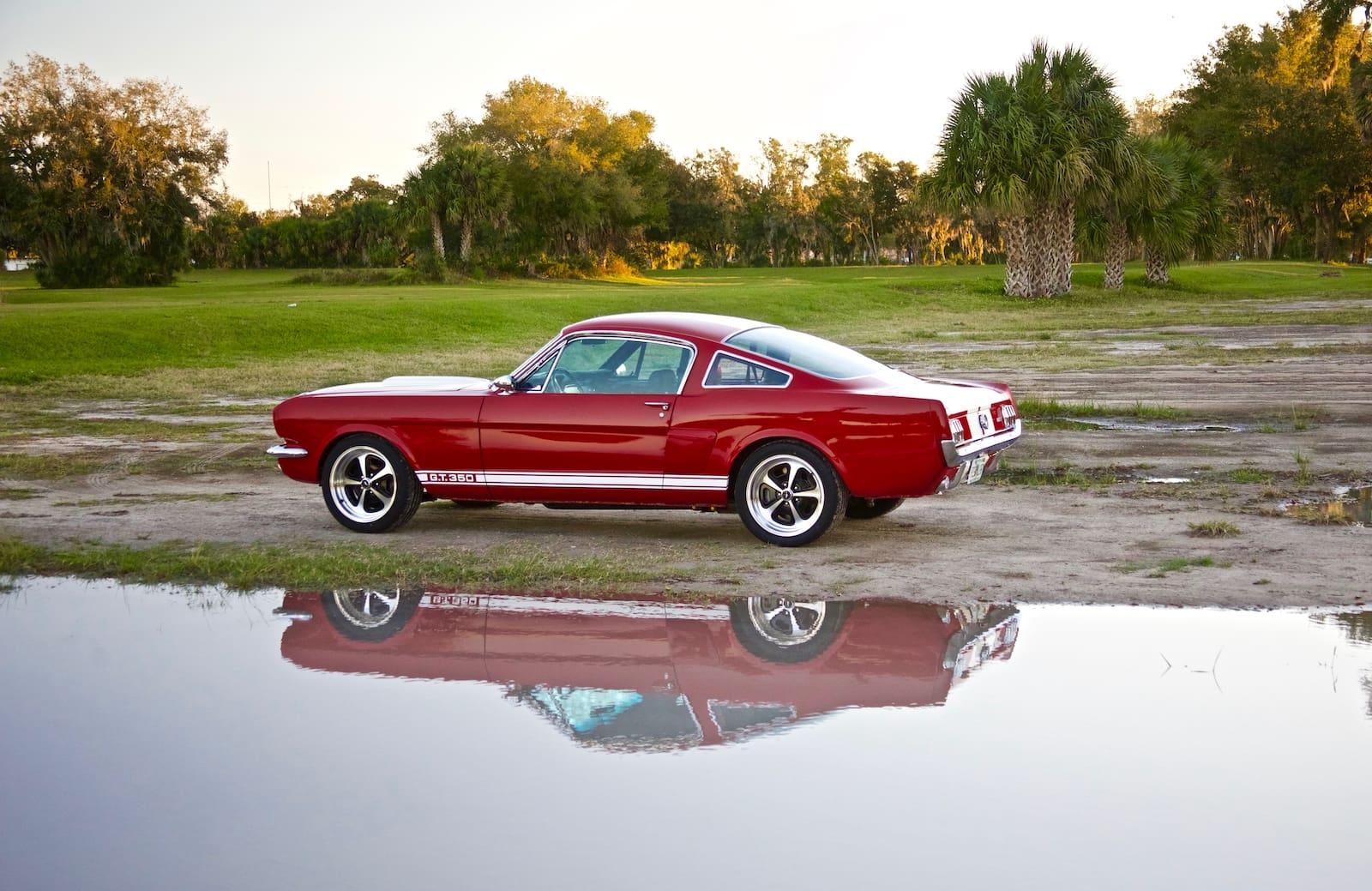 Classic Ford Mustangs: Revology Cars Registry